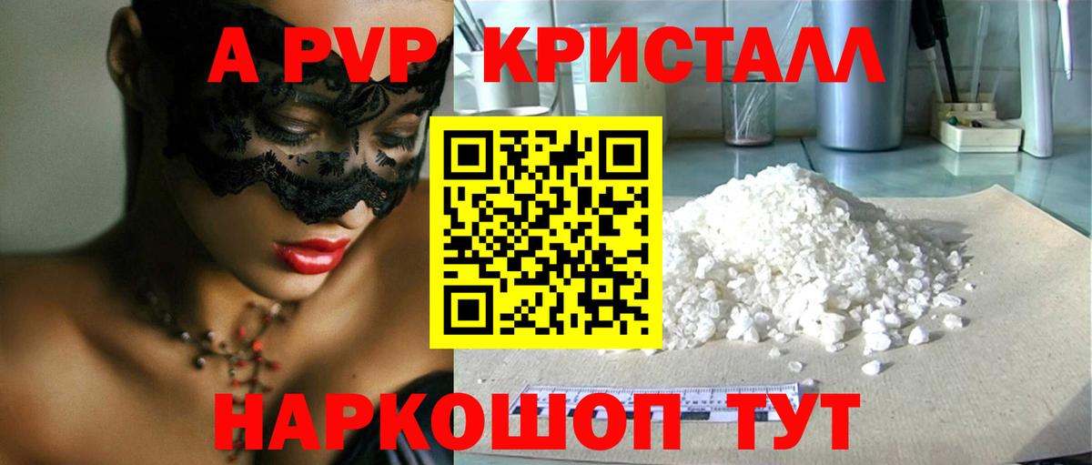 A PVP СК Великий Новгород