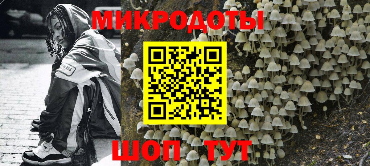 Галлюциногенные грибы ЛСД Великий Новгород